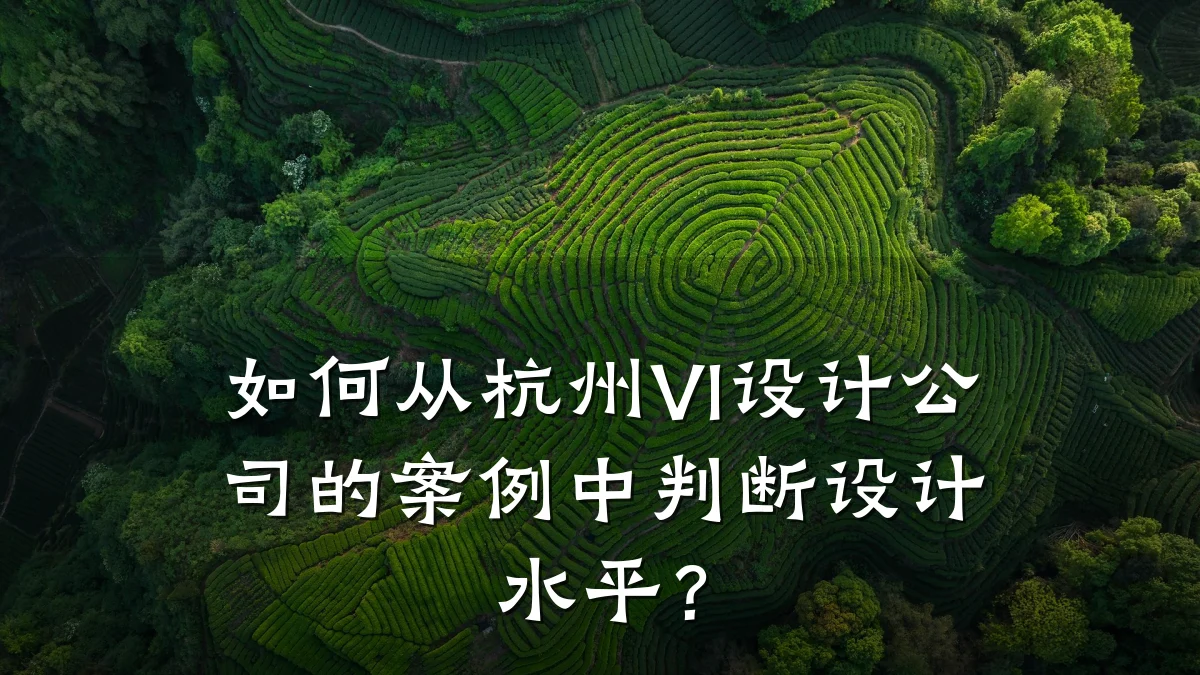 如何从杭州VI设计公司的案例中判断设计水平？