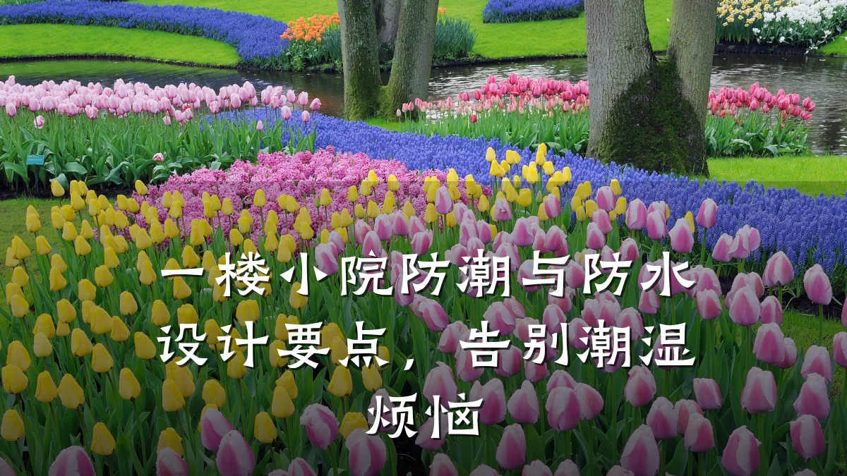 一楼小院防潮与防水设计要点，告别潮湿烦恼
