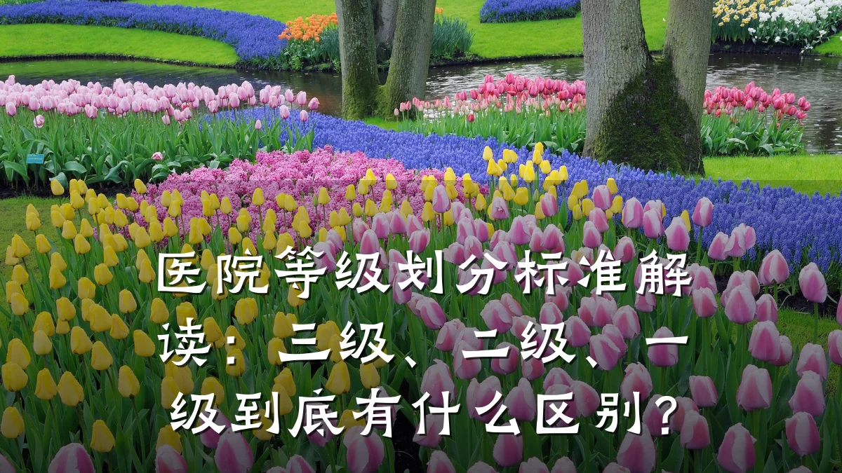 医院等级划分标准解读:三级、二级、一级到底有什么区别?