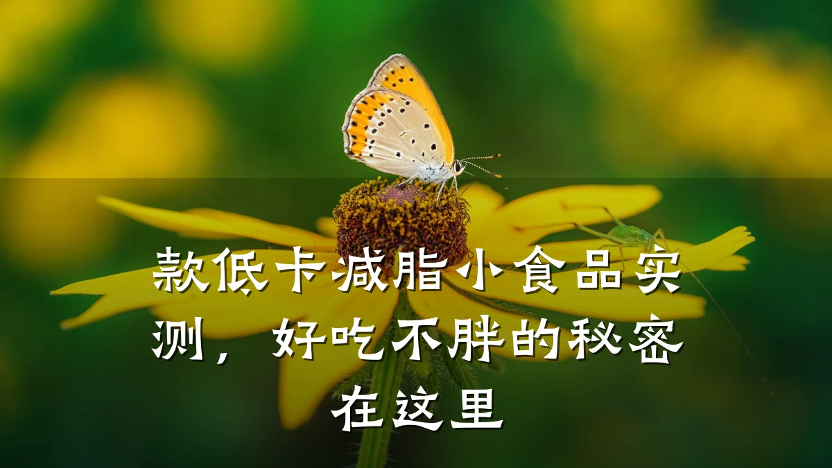 款低卡减脂小食品实测,好吃不胖的秘密在这里