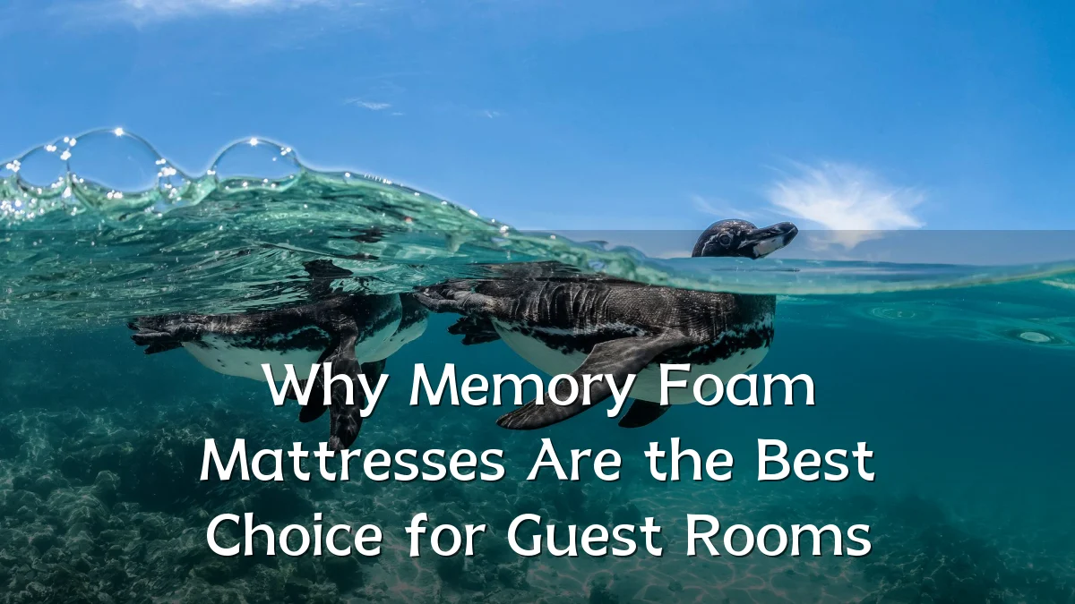 Why Memory Foam Mattresses Are the Best Choice for Guest Rooms