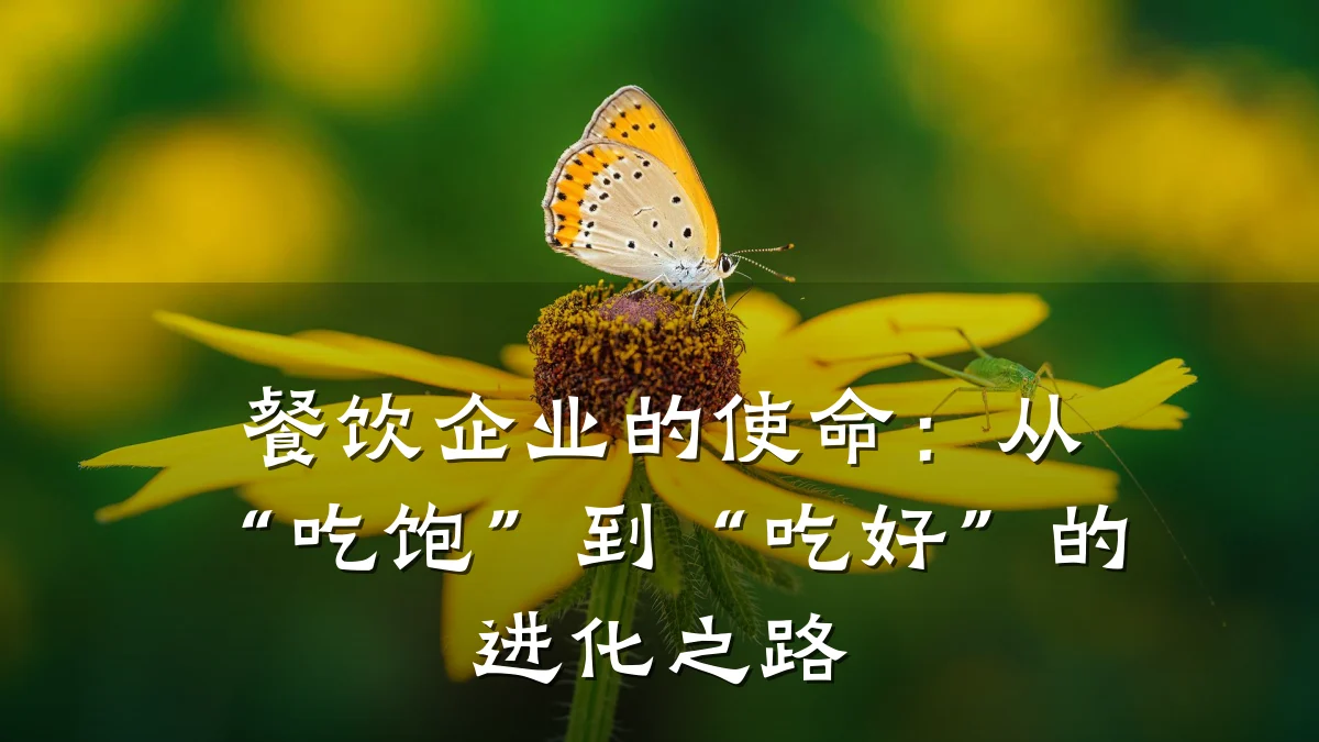 餐饮企业的使命:从“吃饱”到“吃好”的进化之路