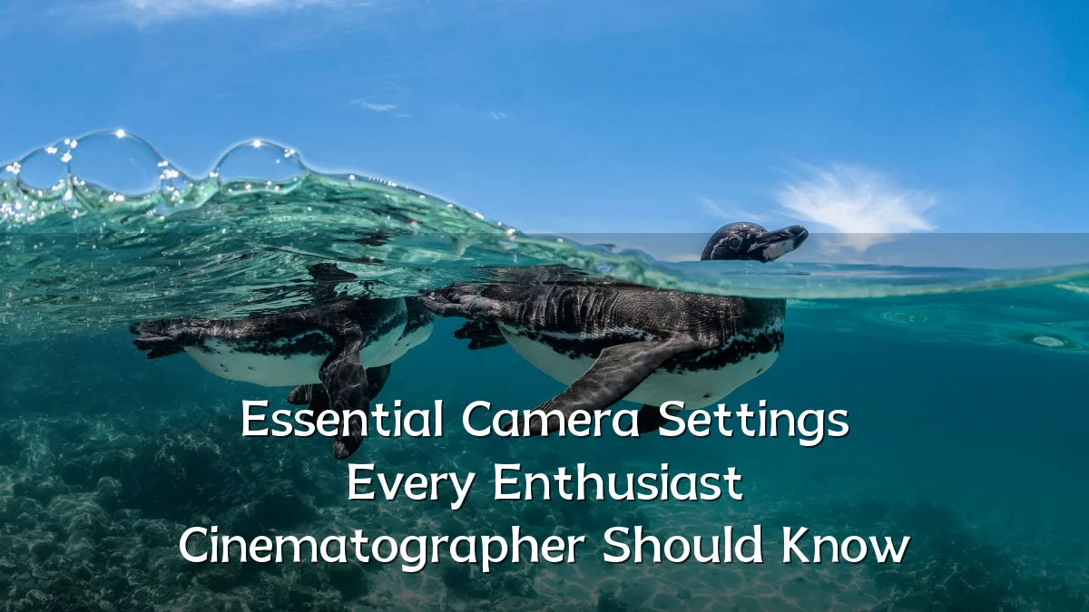 Essential Camera Settings Every Enthusiast Cinematographer Should Know