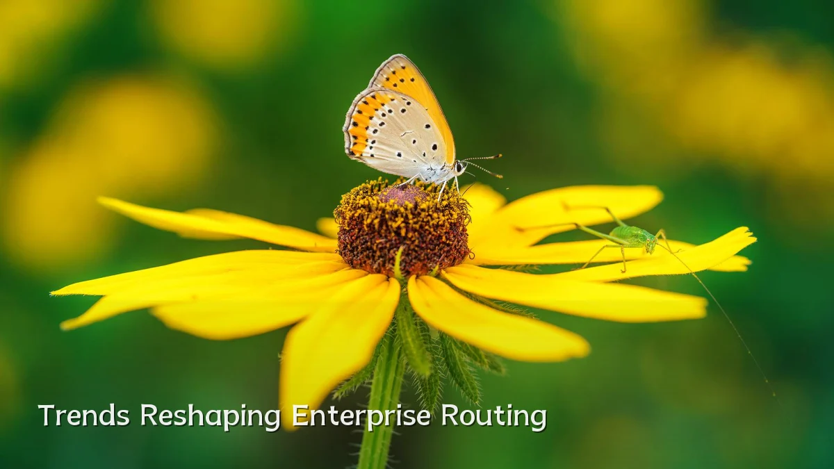 Trends Reshaping Enterprise Routing