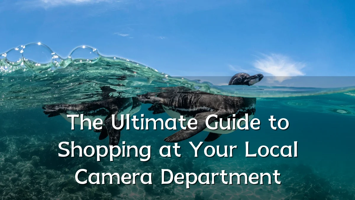 The Ultimate Guide to Shopping at Your Local Camera Department