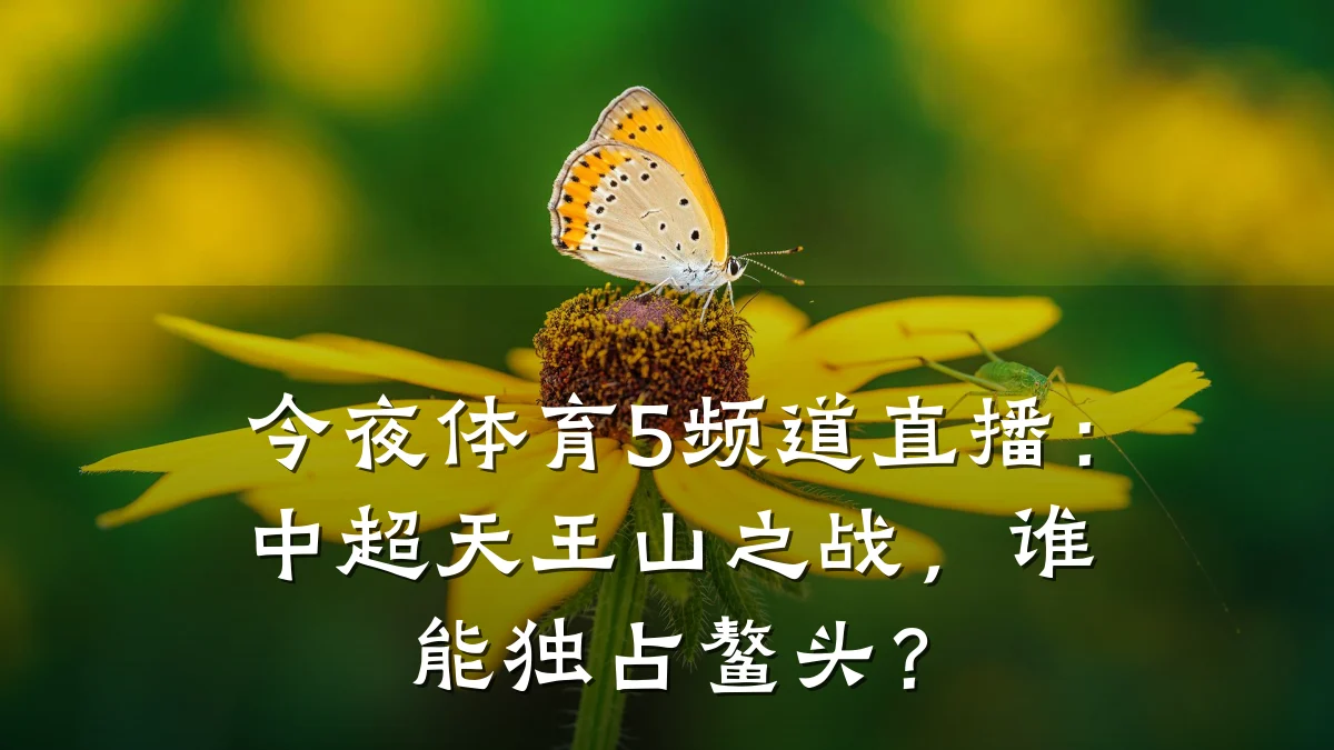 今夜体育5频道直播:中超天王山之战,谁能独占鳌头?