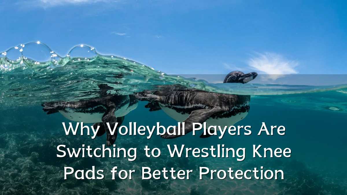 Why Volleyball Players Are Switching to Wrestling Knee Pads for Better Protection