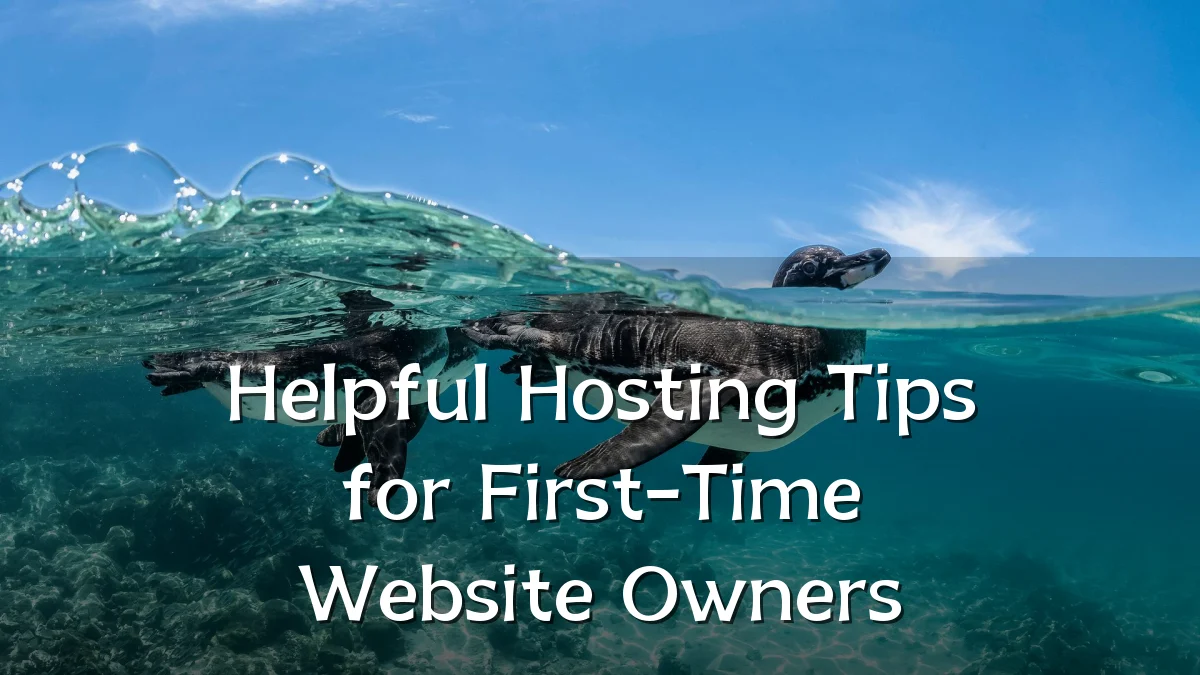 Helpful Hosting Tips for First-Time Website Owners