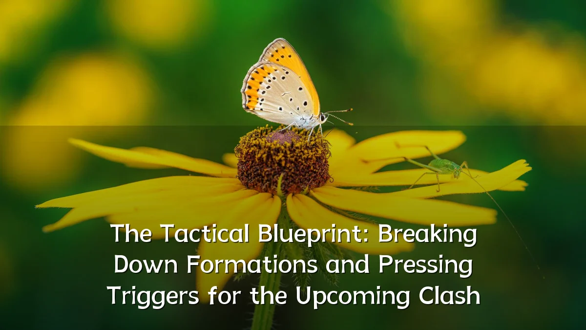 The Tactical Blueprint: Breaking Down Formations and Pressing Triggers for the Upcoming Clash