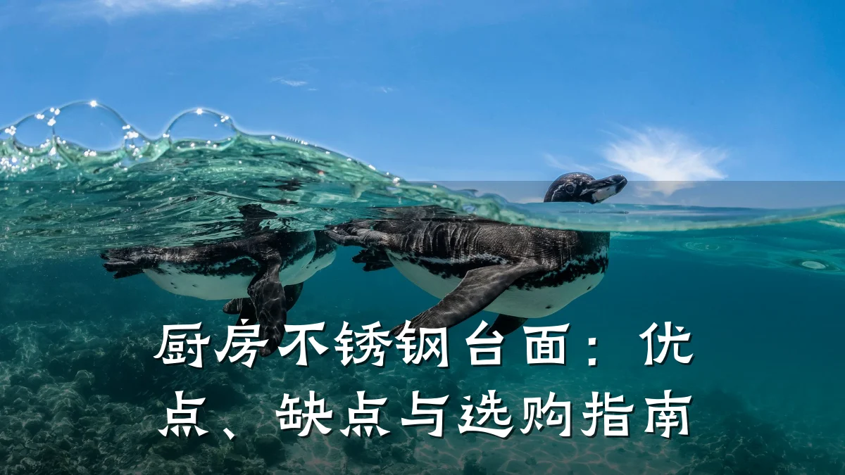厨房不锈钢台面:优点、缺点与选购指南