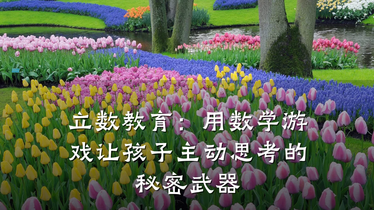 立数教育：用数学游戏让孩子主动思考的秘密武器