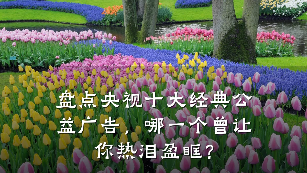 盘点央视十大经典公益广告,哪一个曾让你热泪盈眶?