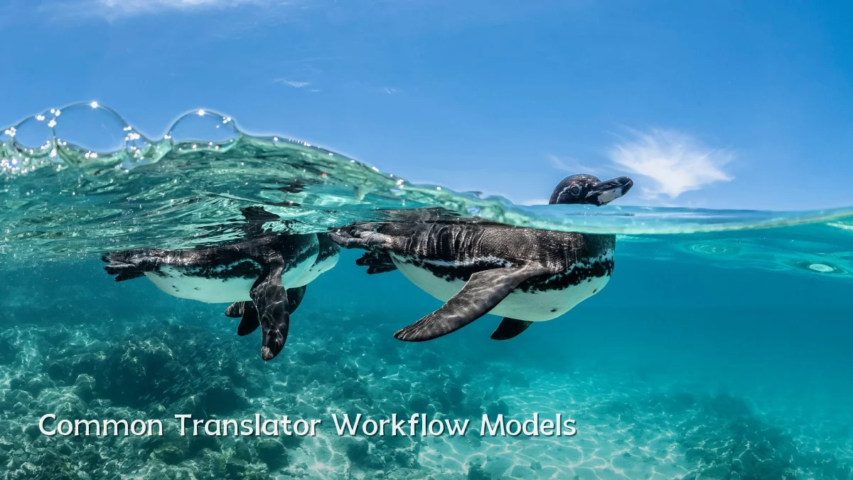 Common Translator Workflow Models