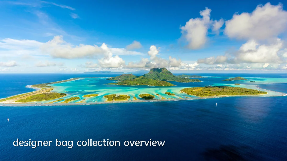 designer bag collection overview