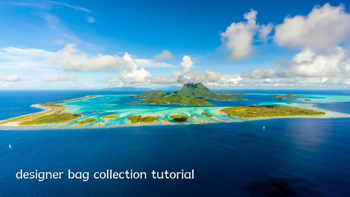 designer bag collection tutorial