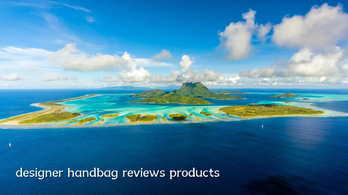 designer handbag reviews products