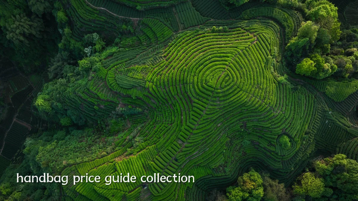 handbag price guide collection