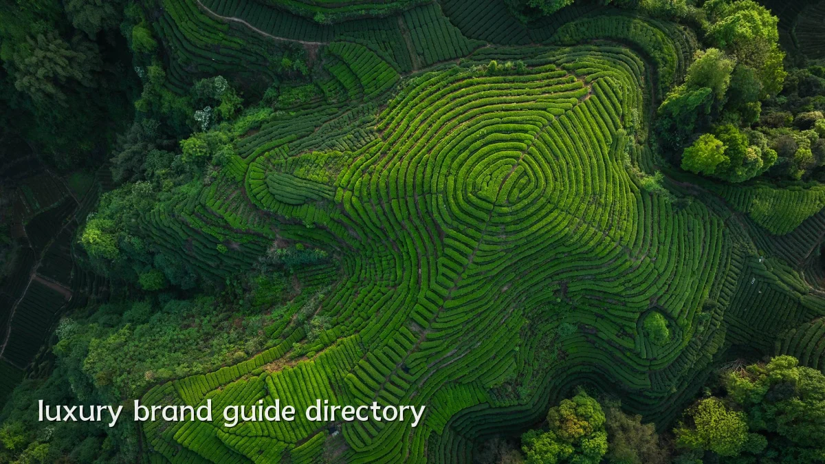 luxury brand guide directory