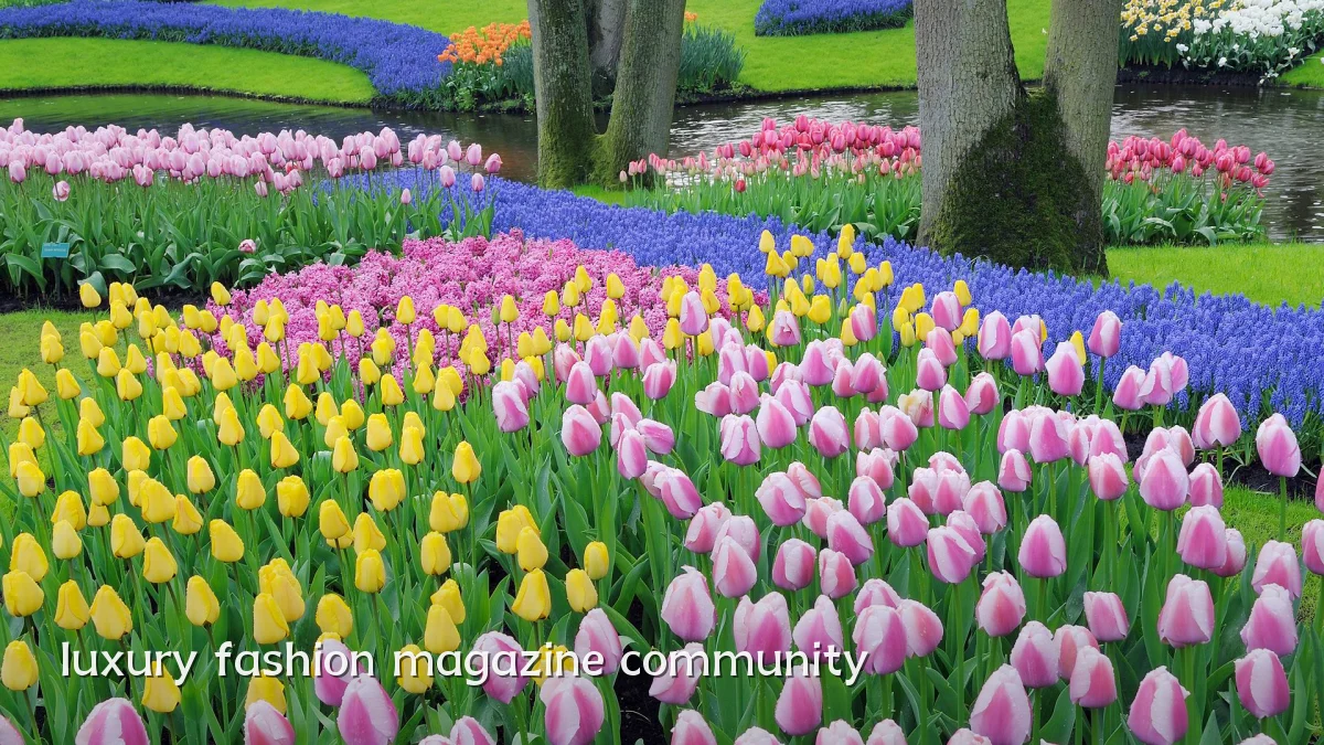 luxury fashion magazine community