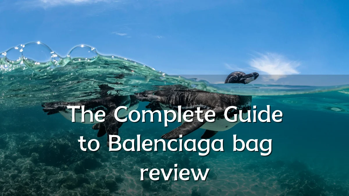 The Complete Guide to Balenciaga bag review