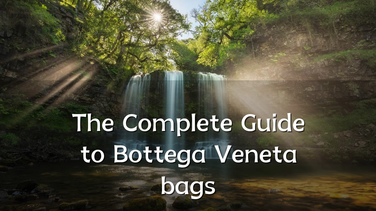The Complete Guide to Bottega Veneta bags