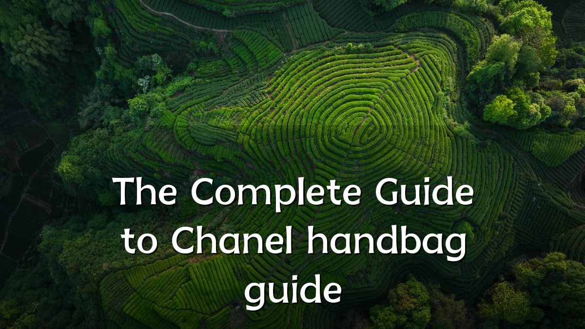 The Complete Guide to Chanel handbag guide
