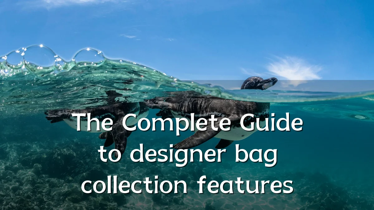 The Complete Guide to designer bag collection features
