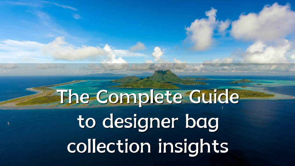 The Complete Guide to designer bag collection insights
