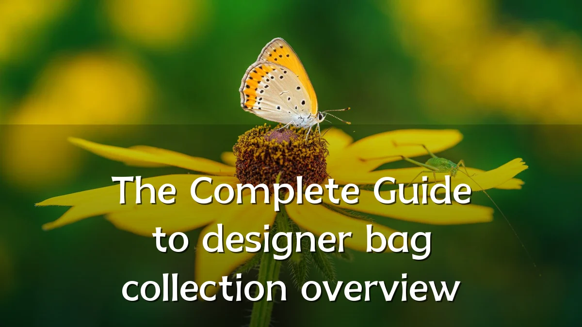 The Complete Guide to designer bag collection overview