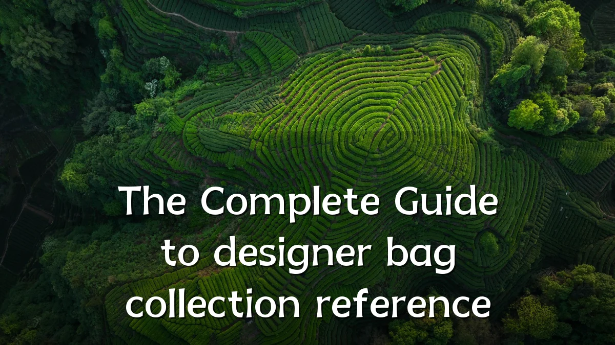 The Complete Guide to designer bag collection reference