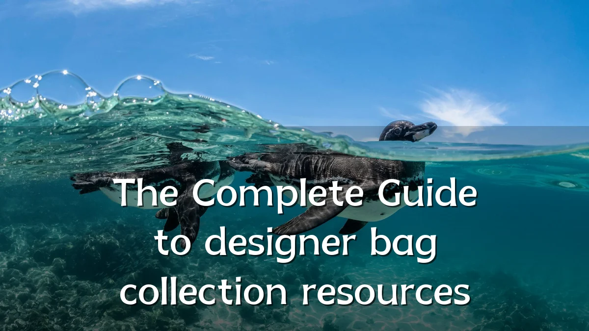 The Complete Guide to designer bag collection resources