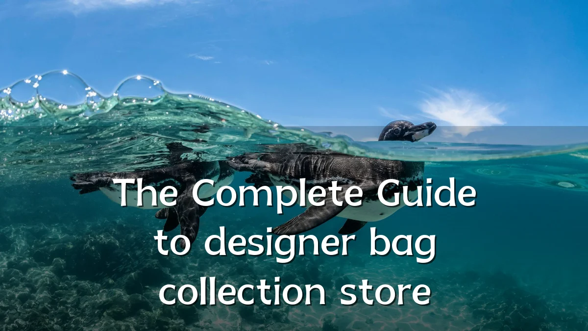 The Complete Guide to designer bag collection store