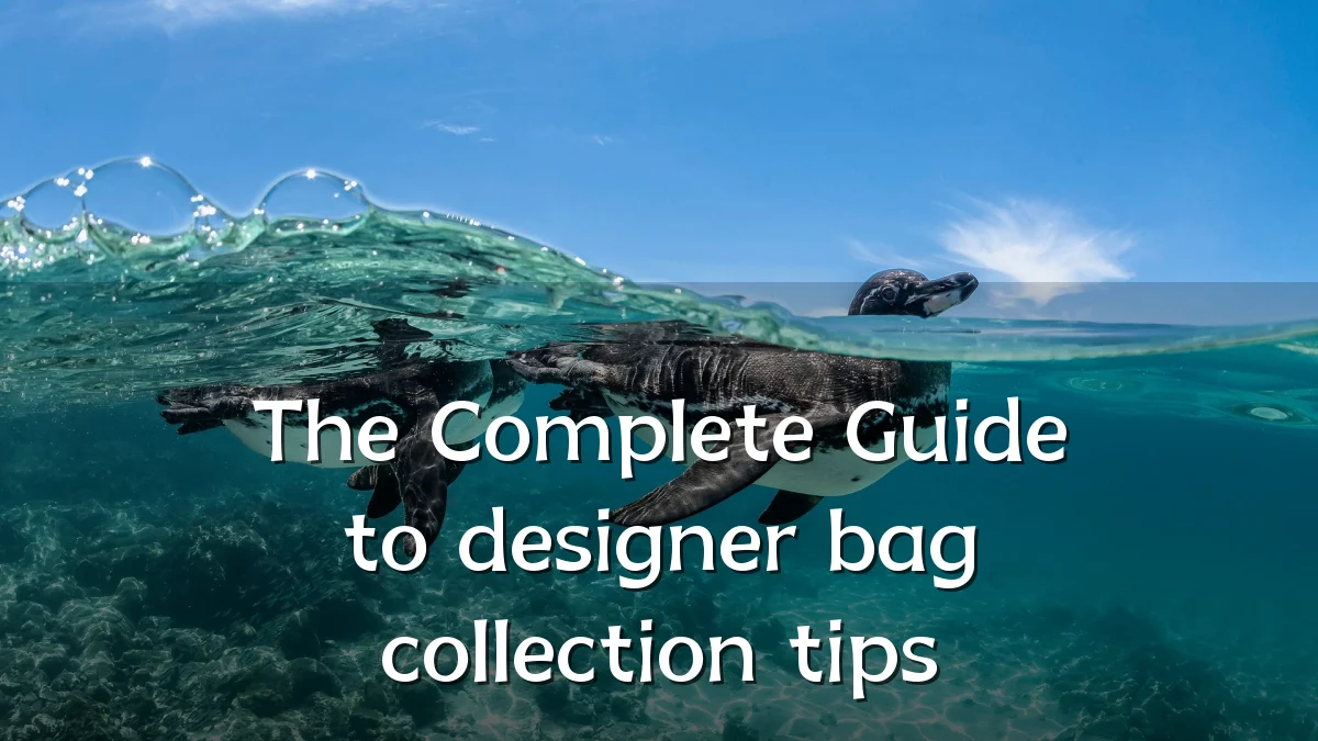 The Complete Guide to designer bag collection tips