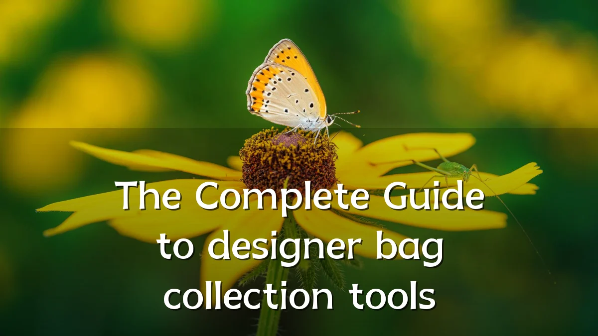 The Complete Guide to designer bag collection tools