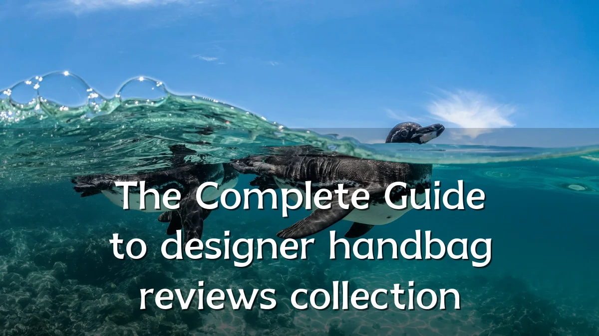 The Complete Guide to designer handbag reviews collection