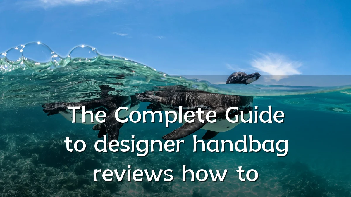 The Complete Guide to designer handbag reviews how to