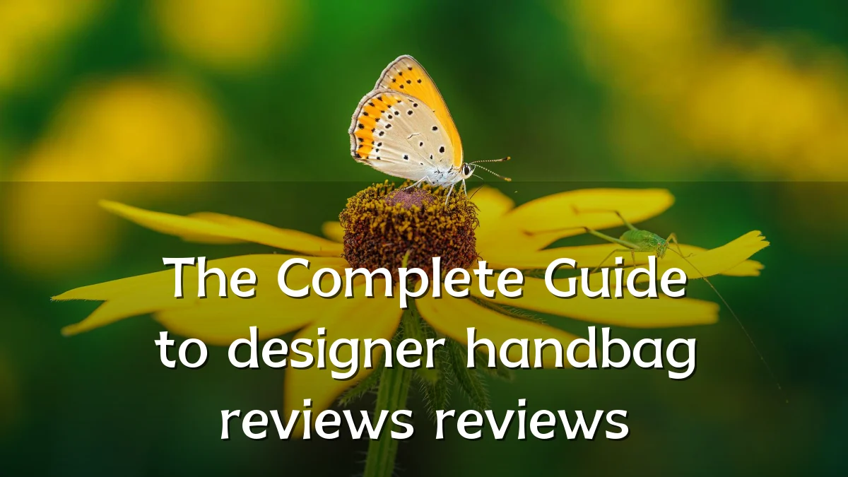 The Complete Guide to designer handbag reviews reviews