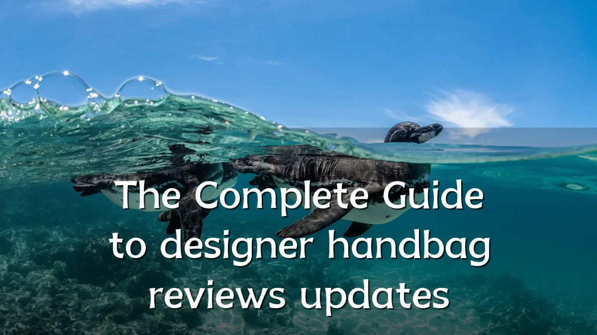 The Complete Guide to designer handbag reviews updates