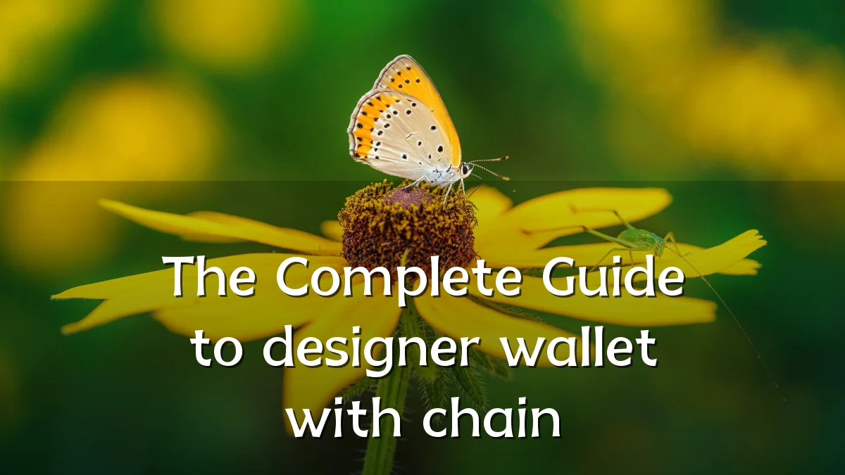 The Complete Guide to designer wallet with chain