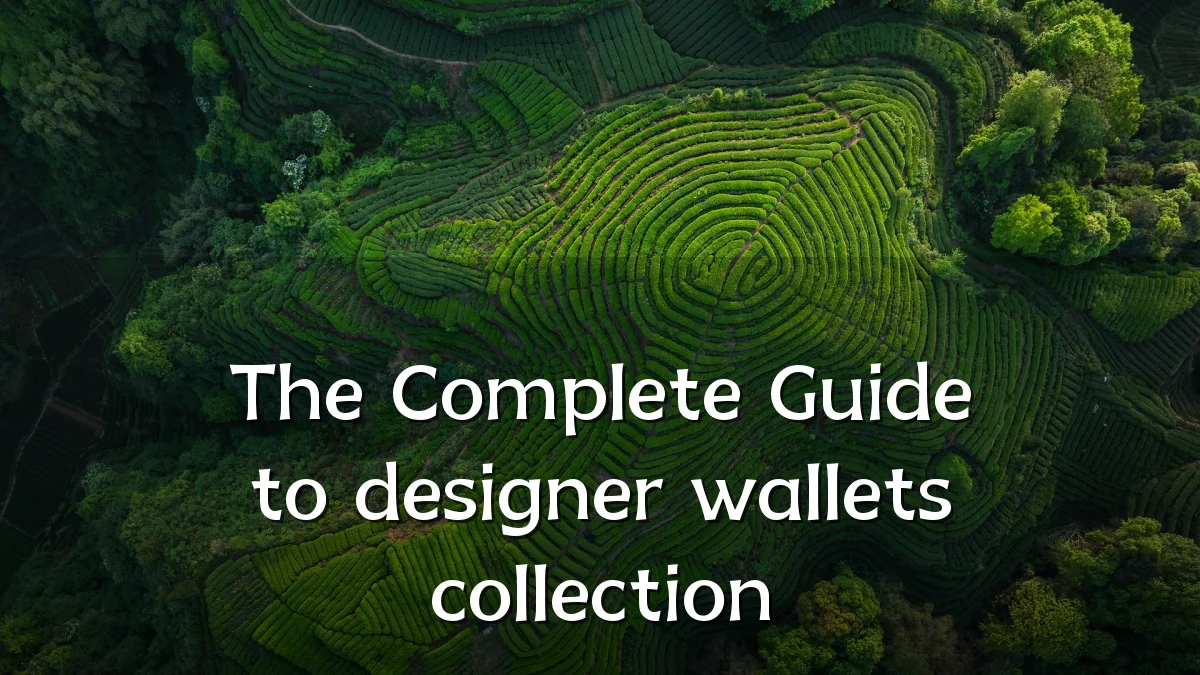 The Complete Guide to designer wallets collection