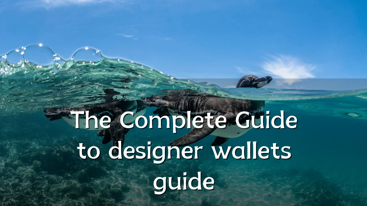The Complete Guide to designer wallets guide