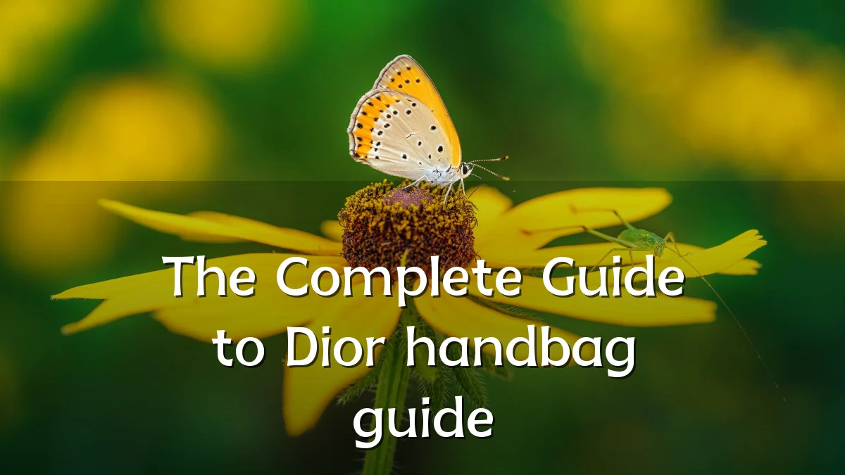 The Complete Guide to Dior handbag guide