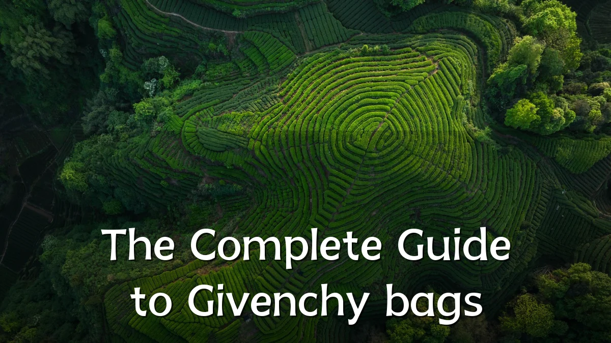 The Complete Guide to Givenchy bags