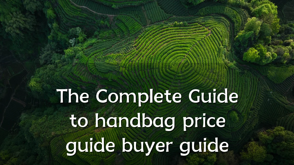 The Complete Guide to handbag price guide buyer guide