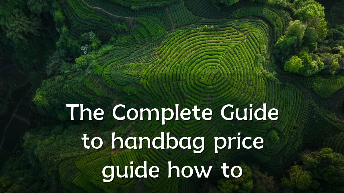 The Complete Guide to handbag price guide how to