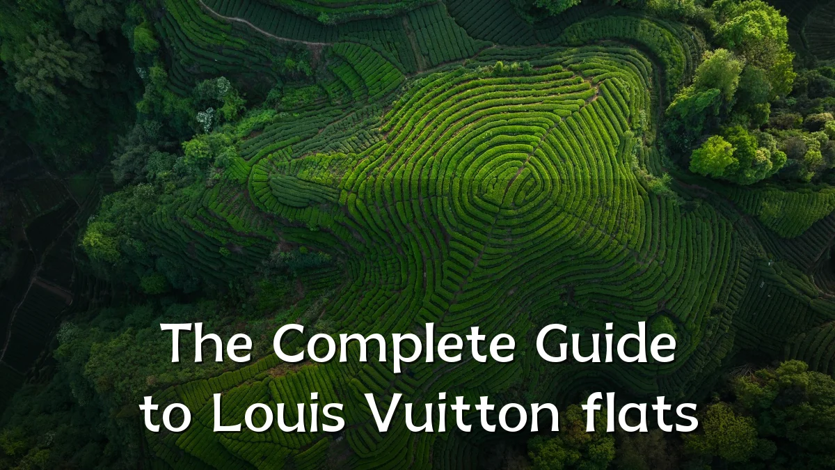 The Complete Guide to Louis Vuitton flats