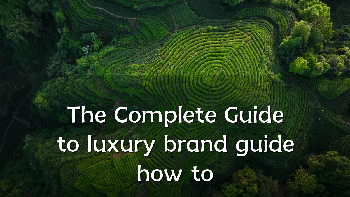 The Complete Guide to luxury brand guide how to