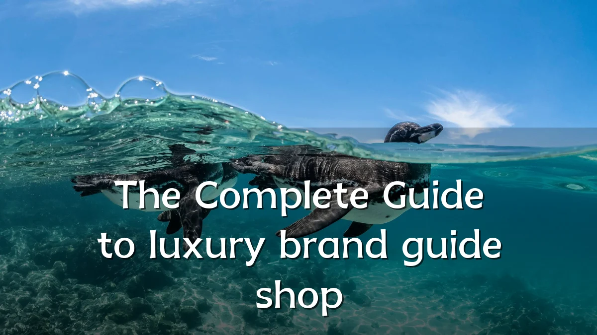 The Complete Guide to luxury brand guide shop