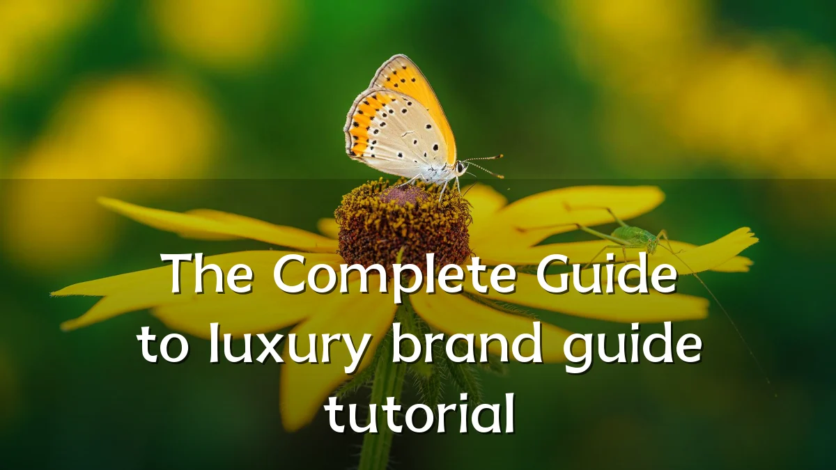 The Complete Guide to luxury brand guide tutorial