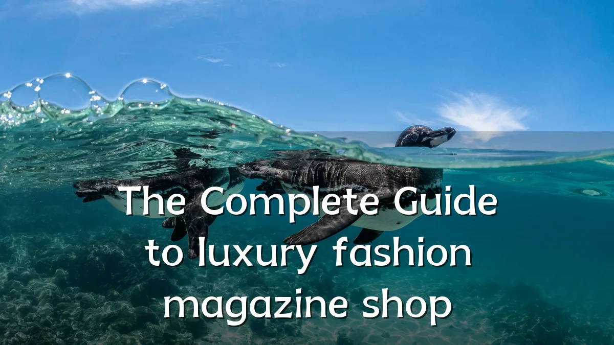 The Complete Guide to luxury fashion magazine shop